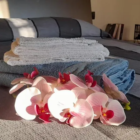 Domo Mea Appartement Oristano